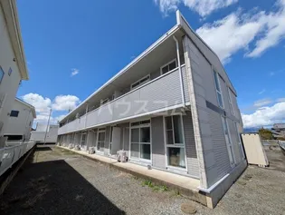 クレオメの画像