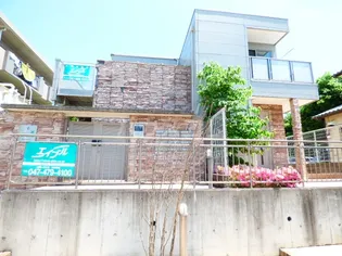 パラディスの画像