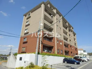 アクシスの画像