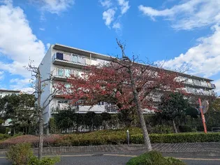 第2検見川ハウス3号棟の画像