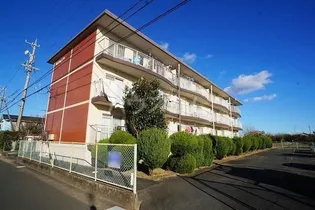 積志ハイツの画像