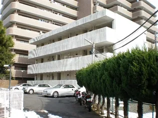 第二アサヒハイツの画像