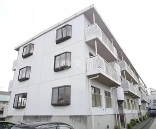 ピースフル18の画像