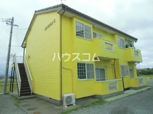 エクセランCの画像