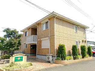 メイプルリーフ Cの画像