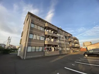 ルシードオチの画像