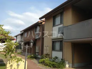 サンフラワーEの画像