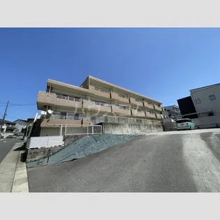 ドミール藤治の画像