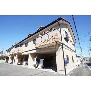 エバーグリーンの画像