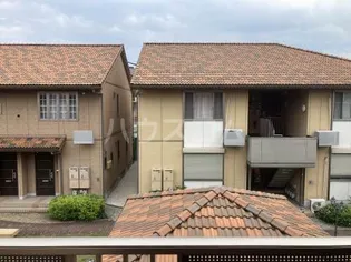 サンフラワーFの画像