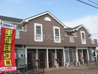 セレッソAの画像