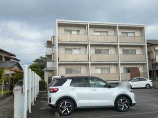 リーヴァ黄瀬川の画像