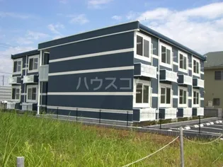 レオネクスト波の画像