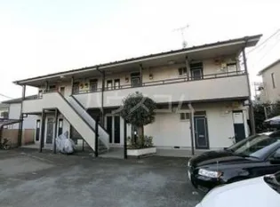 パークもみの木の画像