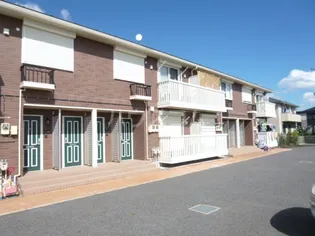 バーディコートの画像