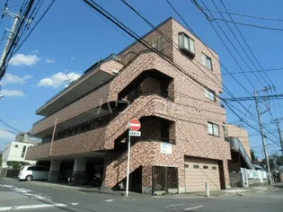 エム センチュリーの画像