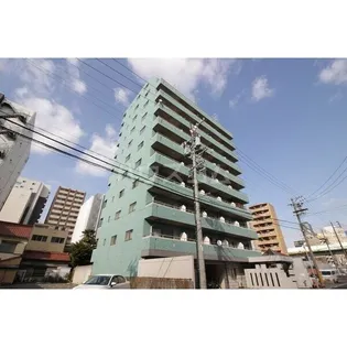 パールコートIIIの画像