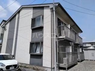 アムールF Fの画像