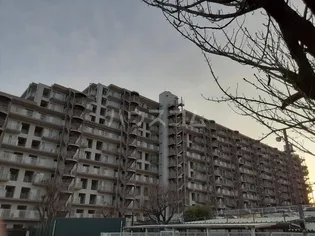 シティパラス柏の画像