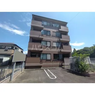 プリムローズマキAの画像