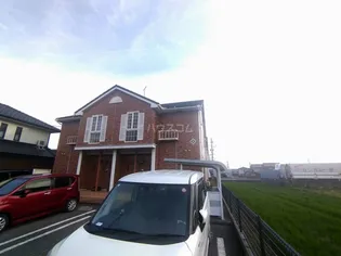 ブルームの画像