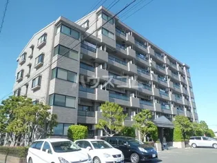 シャトレMの画像