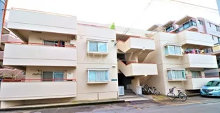 グリーンハウスクスノキの画像