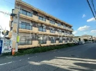 シャレードマルシンの画像