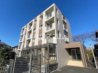 PINE BRANCHの画像