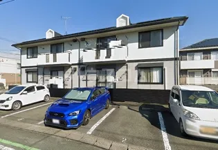 ピュアエクセレントの画像