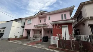 ドルフィン花水の画像