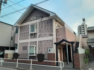 コーヨーYの画像