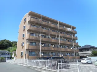 アソシエの画像