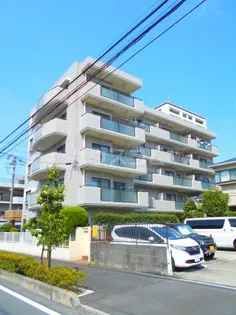 ソレイユモトニの画像