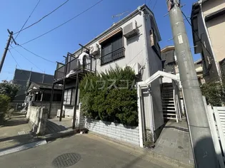 マメケイジュの画像