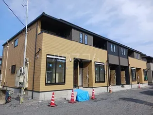 サンフラワーの画像