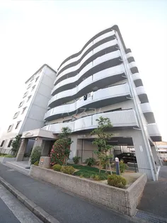 ドリーム菊水の画像