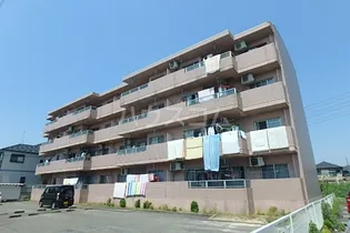 サンエレガンスの画像