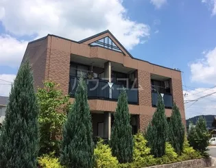 グレイスの画像