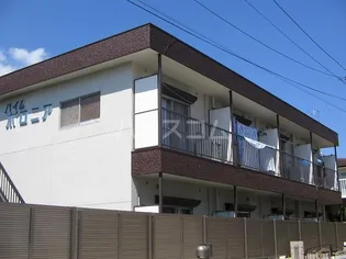 ハイムポロニアの画像