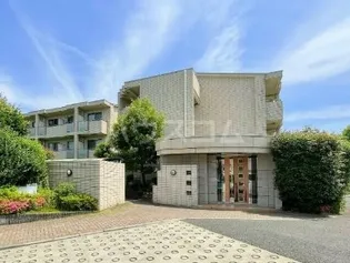 ドルフ喜多見の画像