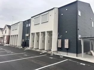 メビウステラスの画像