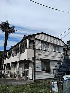 パンション ホワイトの画像