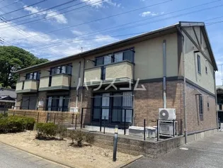 プリムローズ ABCの画像