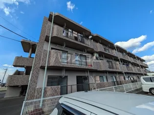 ひかりMYの画像