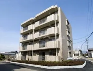 ユーミーグレースの画像