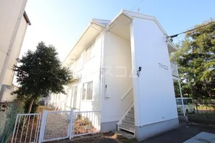 プルニエの画像