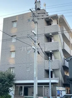 メイプル コートの画像