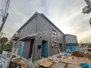 マツカゼの画像