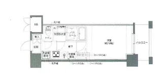 AELL亀有【7階】の間取り